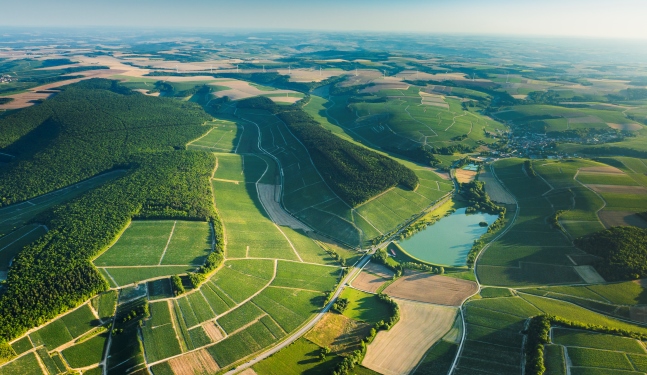 沃利诺/Vau Ligneau 沃德维/Vau De Vey
